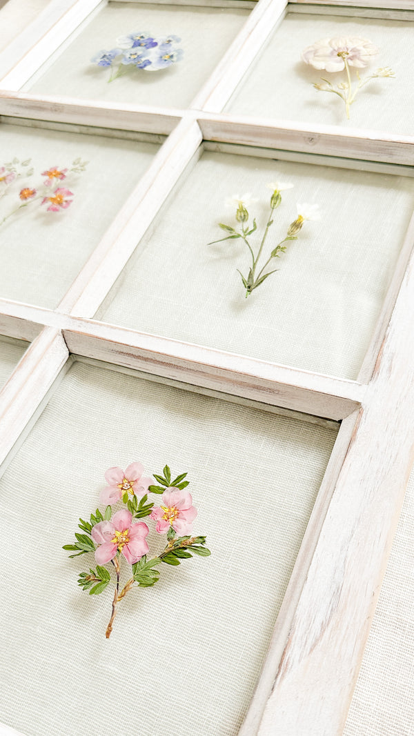 Floral Windows - Pressed Flower Art
